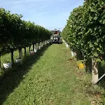 Tonutti * Tavagnacco