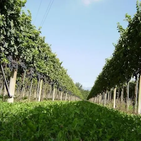 Tonutti בית חווה *