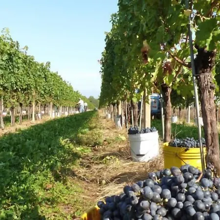 Farm stay Tonutti Tavagnacco